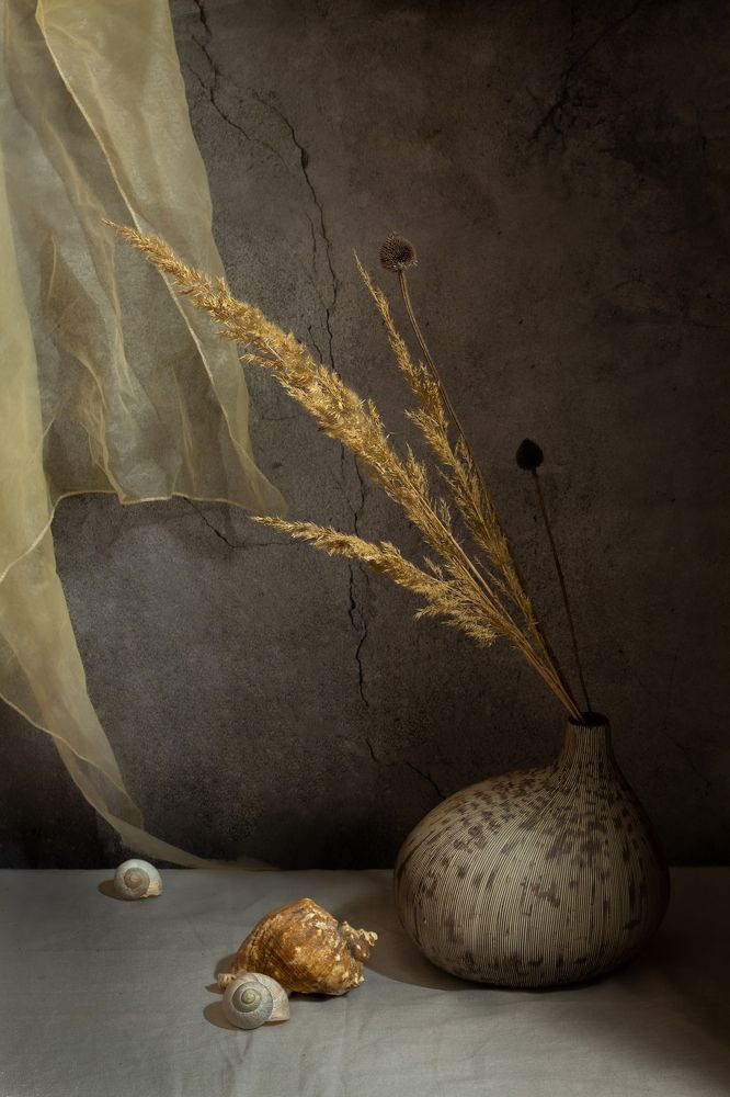 Photograph by Aušra Peciuriene