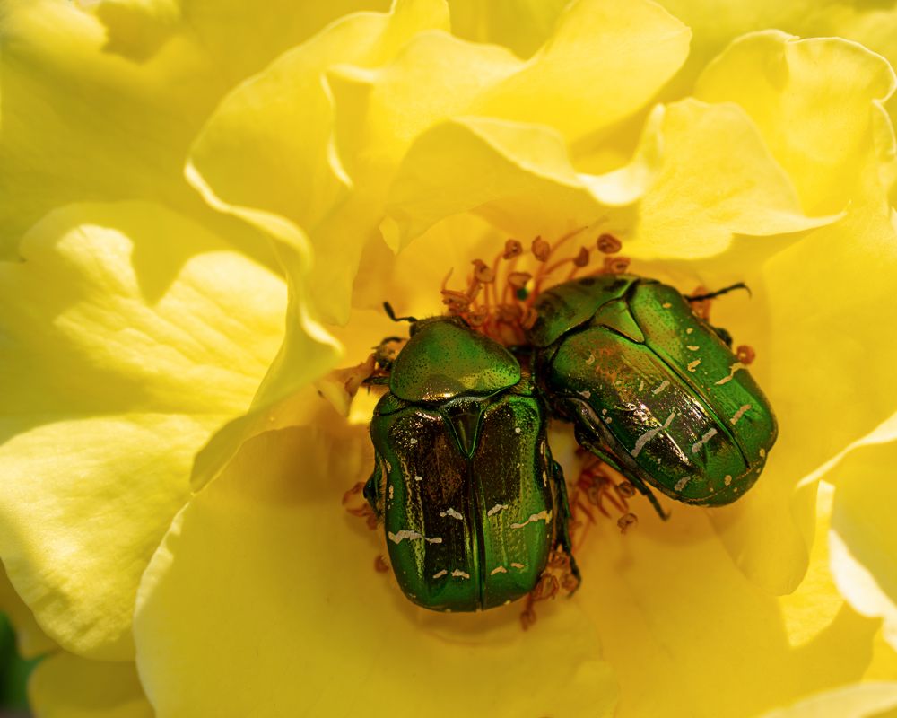 Photograph by Elena Lopatina