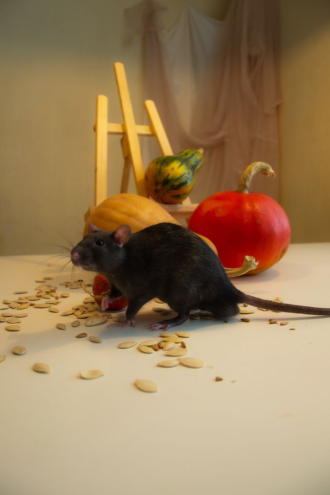 Photograph by Ирина Степанова