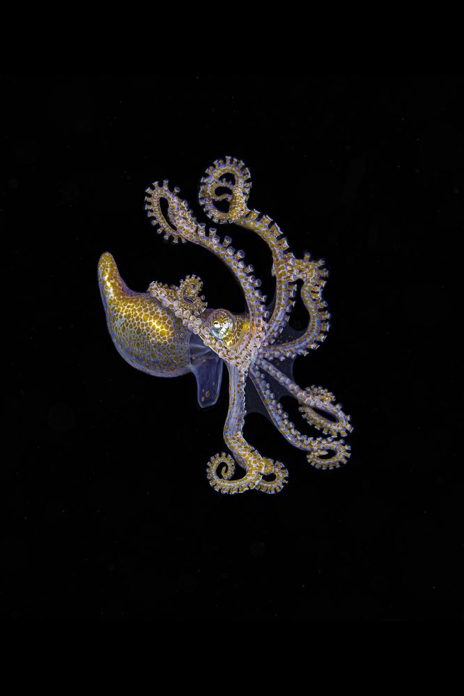 Photograph by Владимир Иваненко