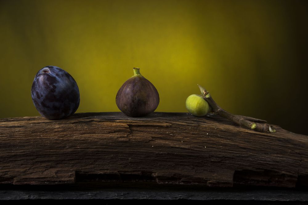 Photograph by Димитър Узунов