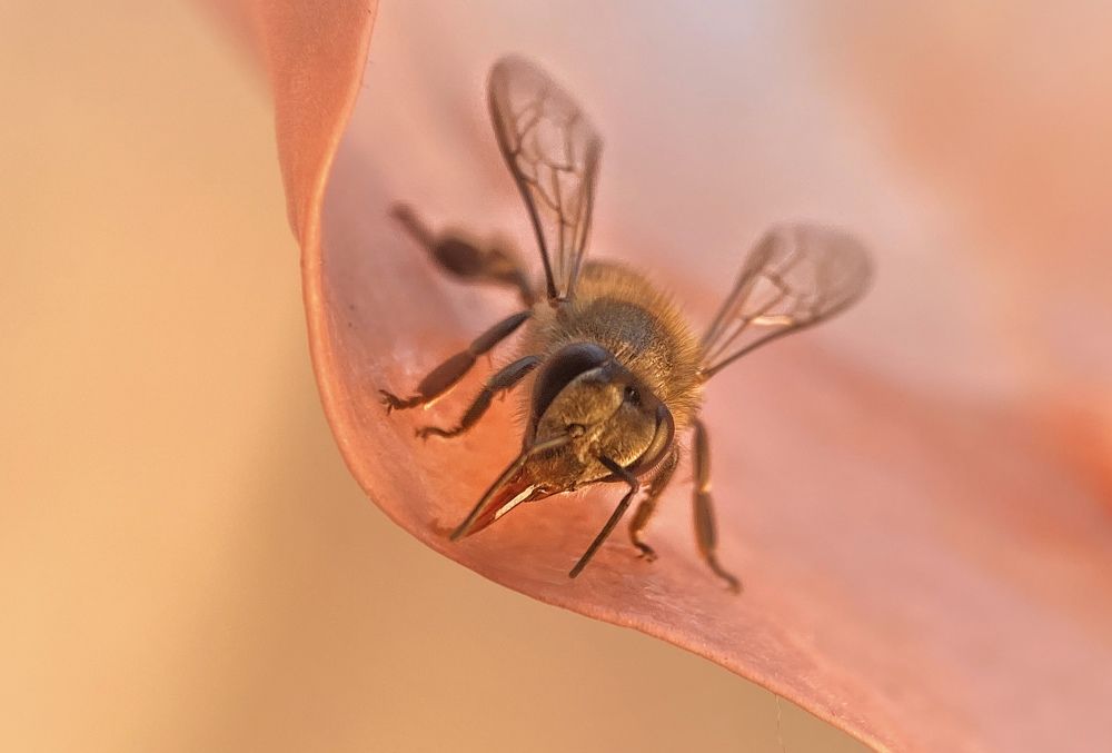 Photograph by Ekra Tasfia