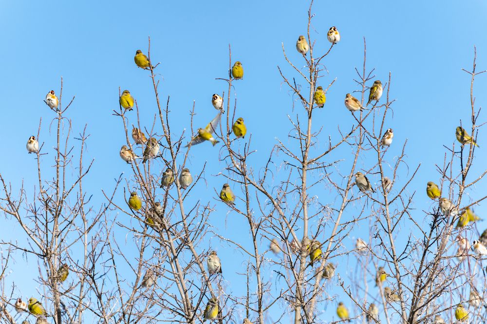 Photograph by Александр Щербаков