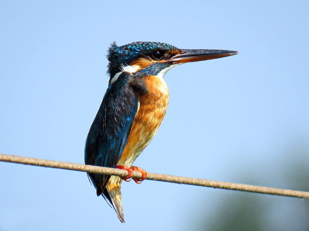 Photograph by Николай Волков