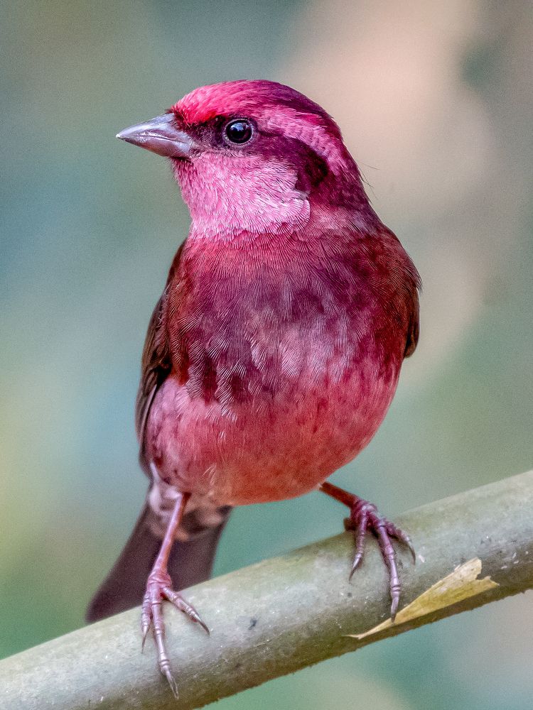 Фотография автора Grace Rani