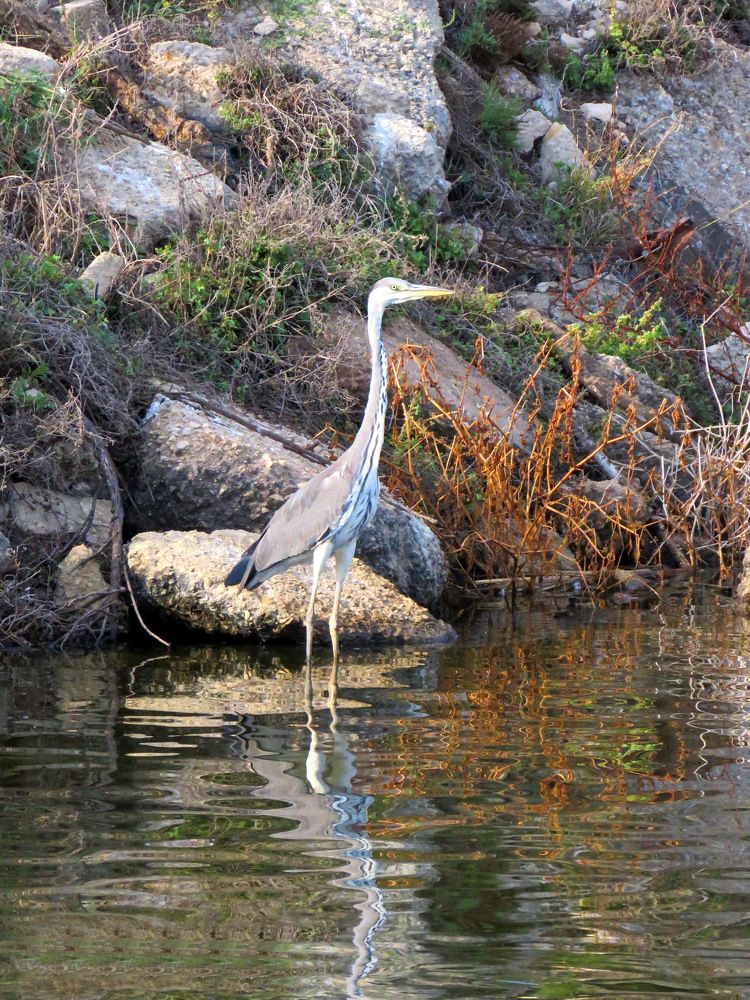 Photograph by Николай Волков