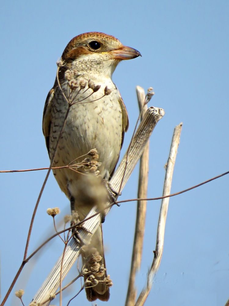Photograph by Николай Волков