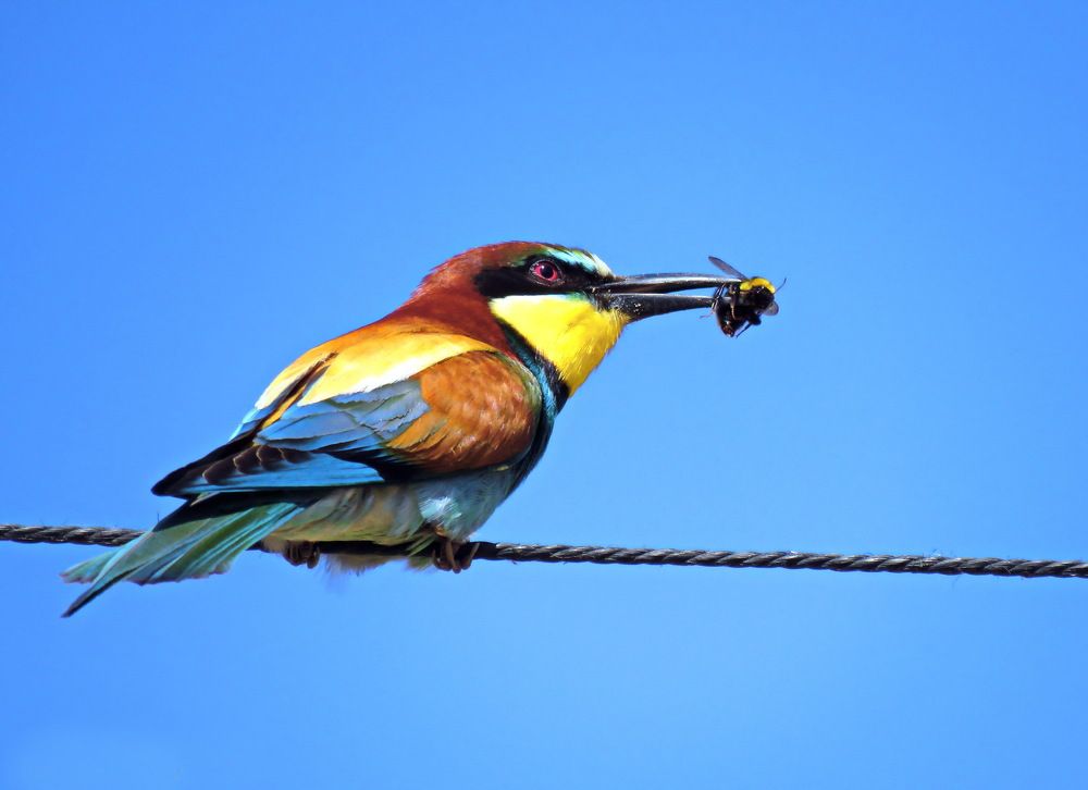 Photograph by Николай Волков