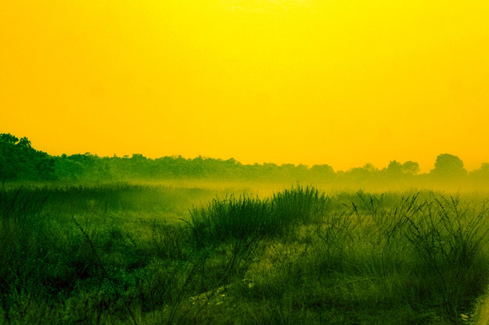 Фотография автора Kuramana Ashok Kumar