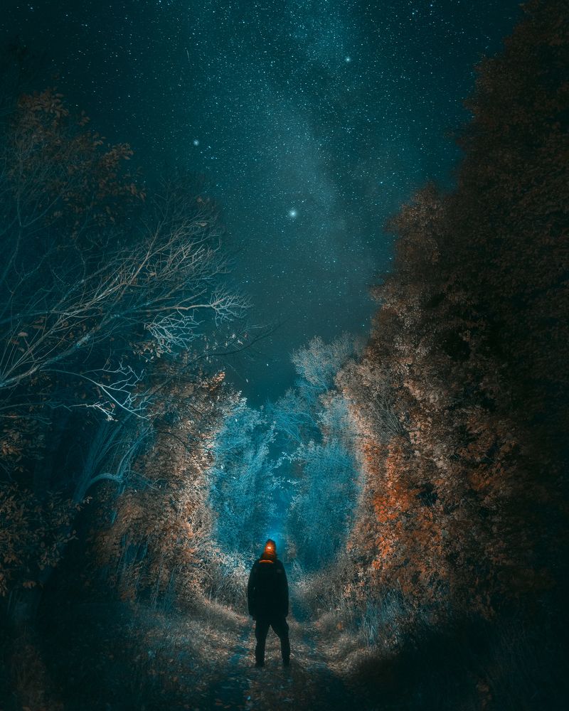 Фотография автора Мартыненко Дмитрий