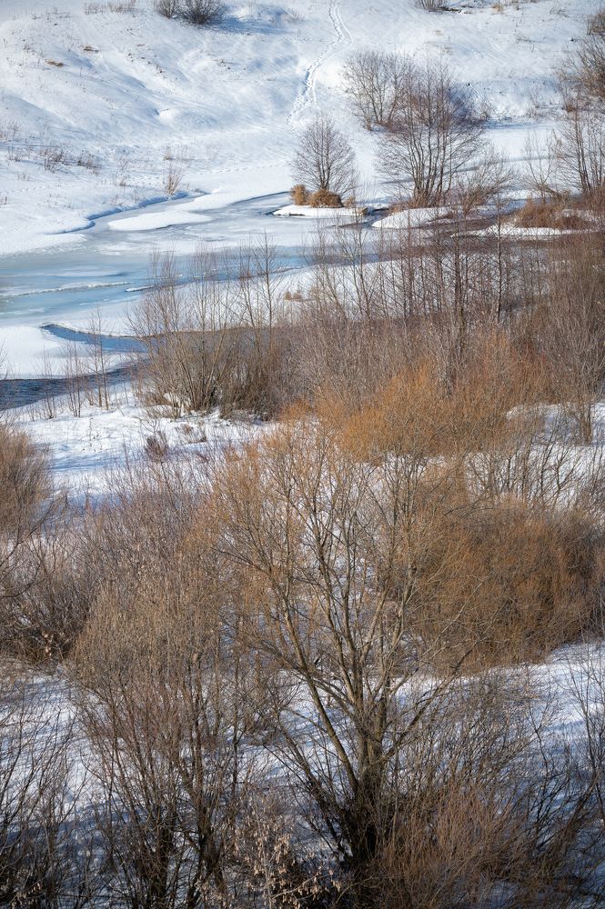 Photograph by Александр Щербаков
