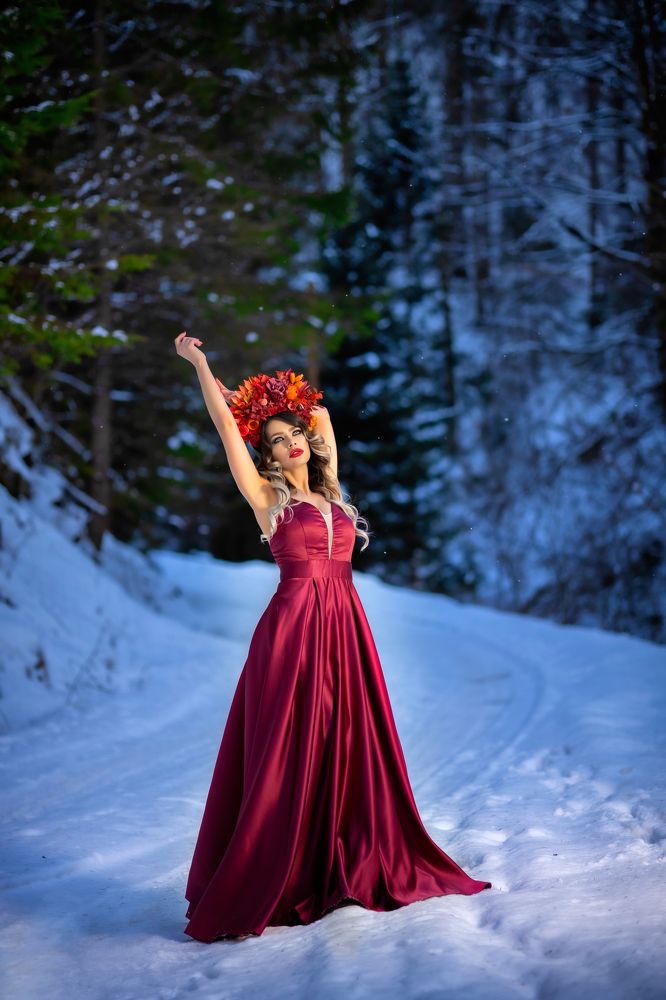 Winter Fairy Tale