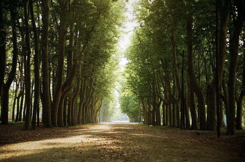 Early Fall in Girona