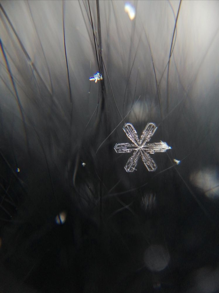 Photograph by Ольга Мокрова