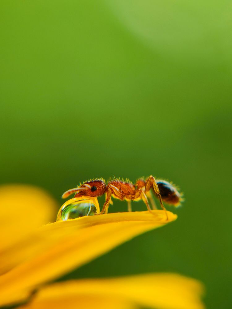 Photograph by Ajeesh A