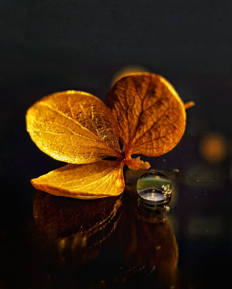 Photograph by Наталья Балабанова