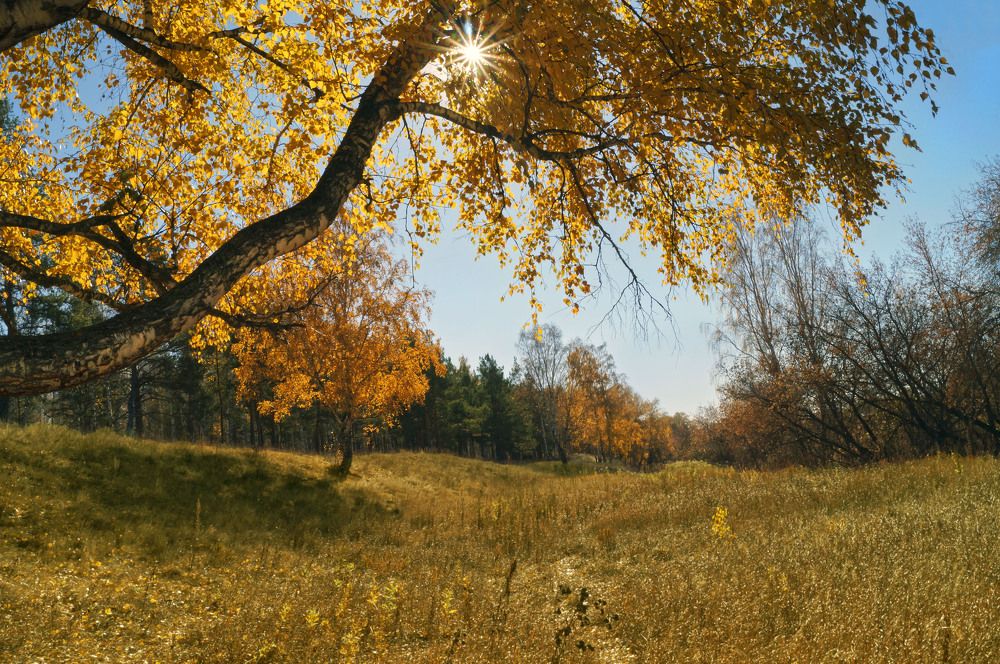 Photograph by Татьяна Мишустина