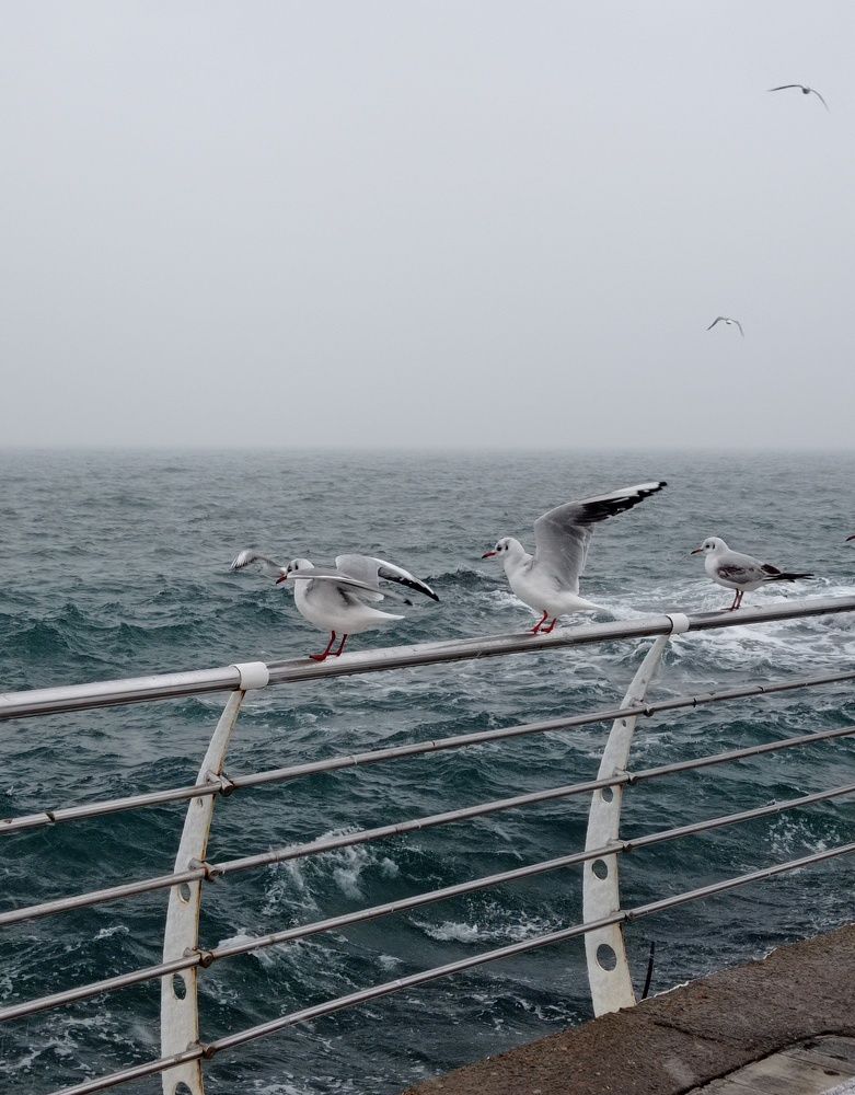 Photograph by Яна Левченко