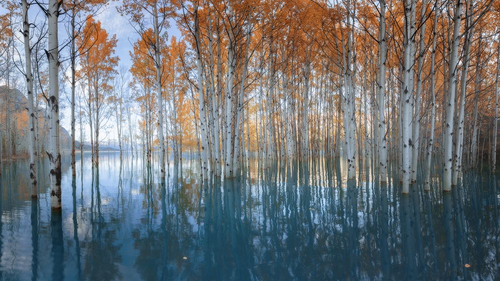 Photograph by Evgeny Chertov