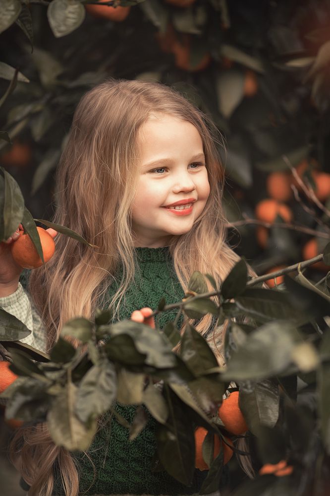 Photograph by Инна Крапивка