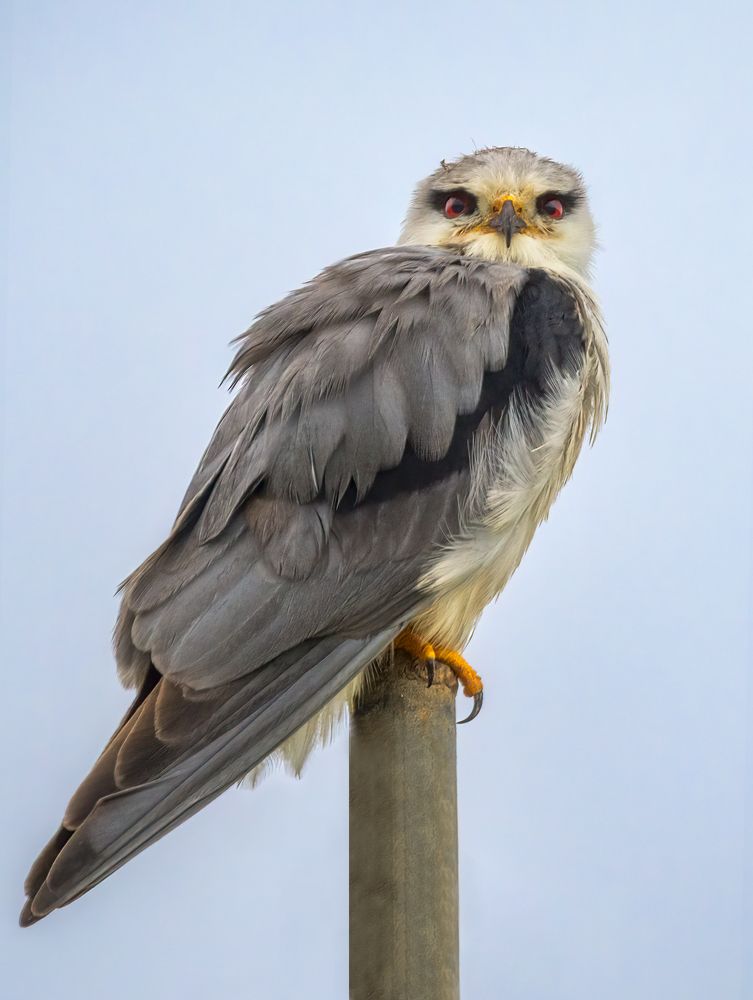 Photograph by Arie Burla