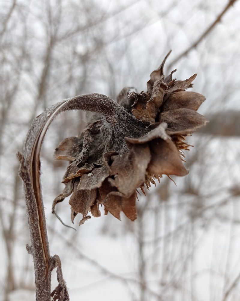 Photograph by Яна Левченко