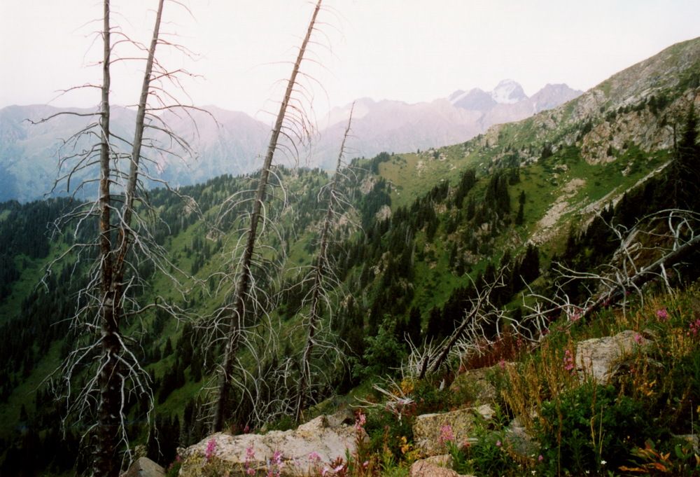 Photograph by Вячеслав Сачков