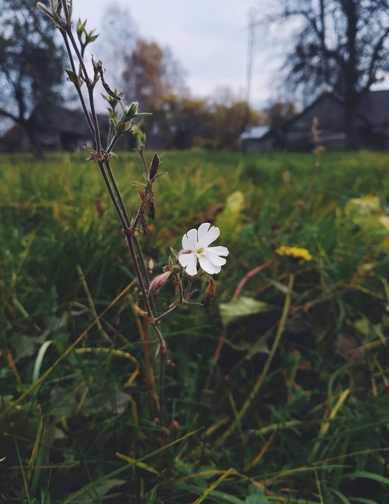 Photograph by Валентина
