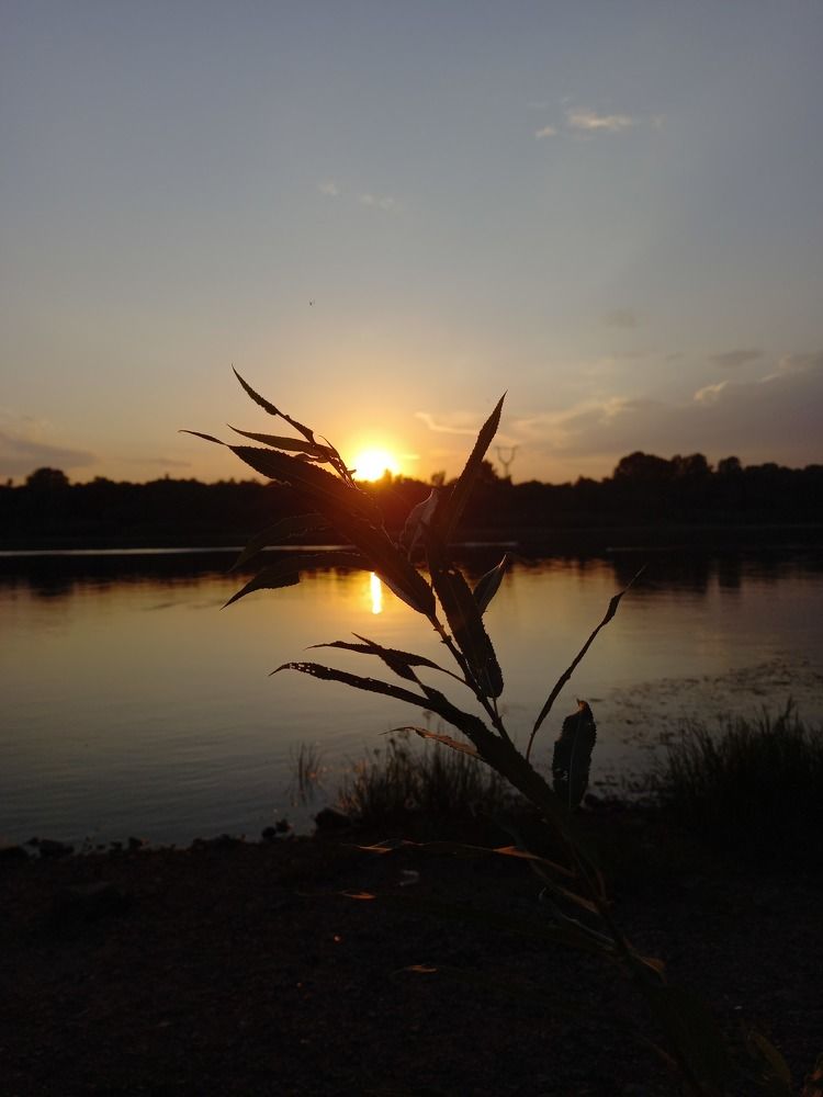 Photograph by Лариса Рафикова