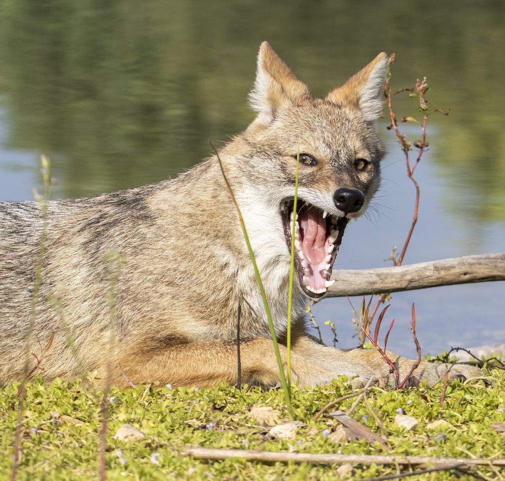 Photograph by Валентина Лопаткина