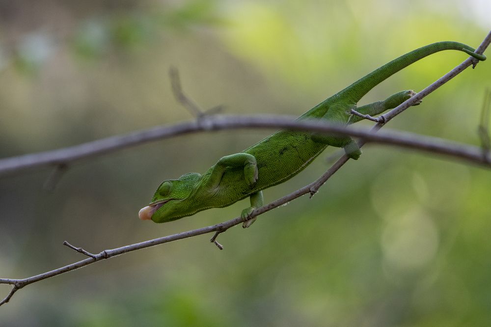 Photograph by Валентина Лопаткина
