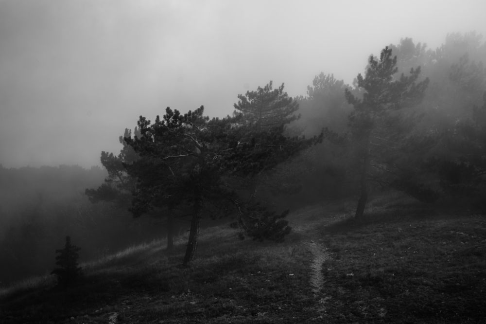 Photograph by Anastasia Tkachenko