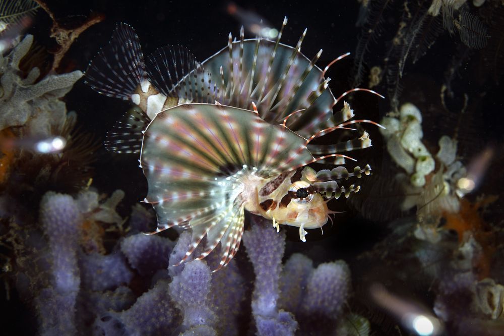 Photograph by Дериглазова Марина Владимировна