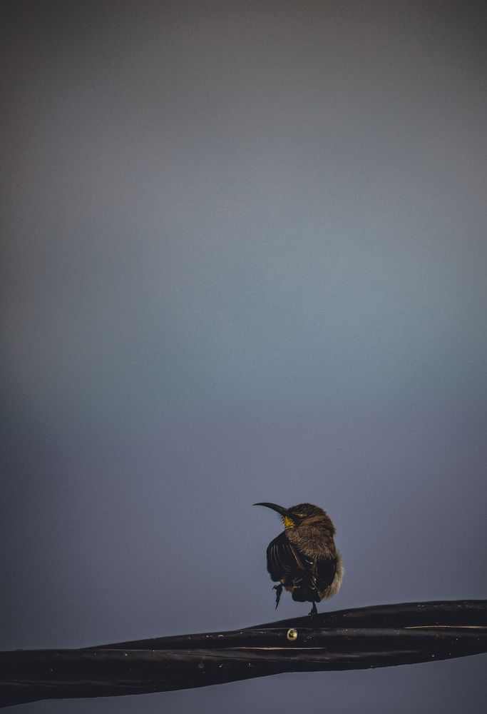 Photograph by Shivam swaraj