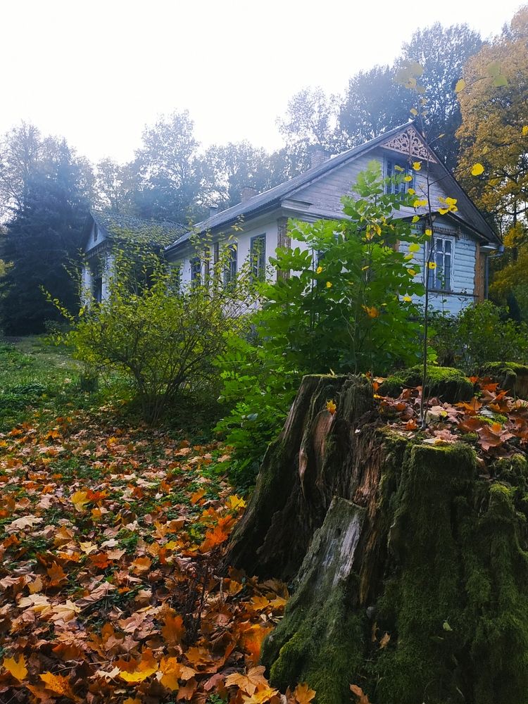 Photograph by Валентина