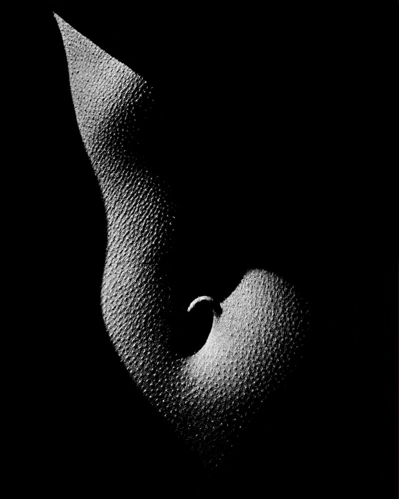 Фотография автора Михаил Тарасов