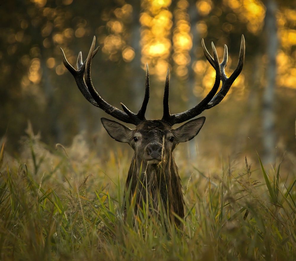 Photograph by Marek Olesiewicz