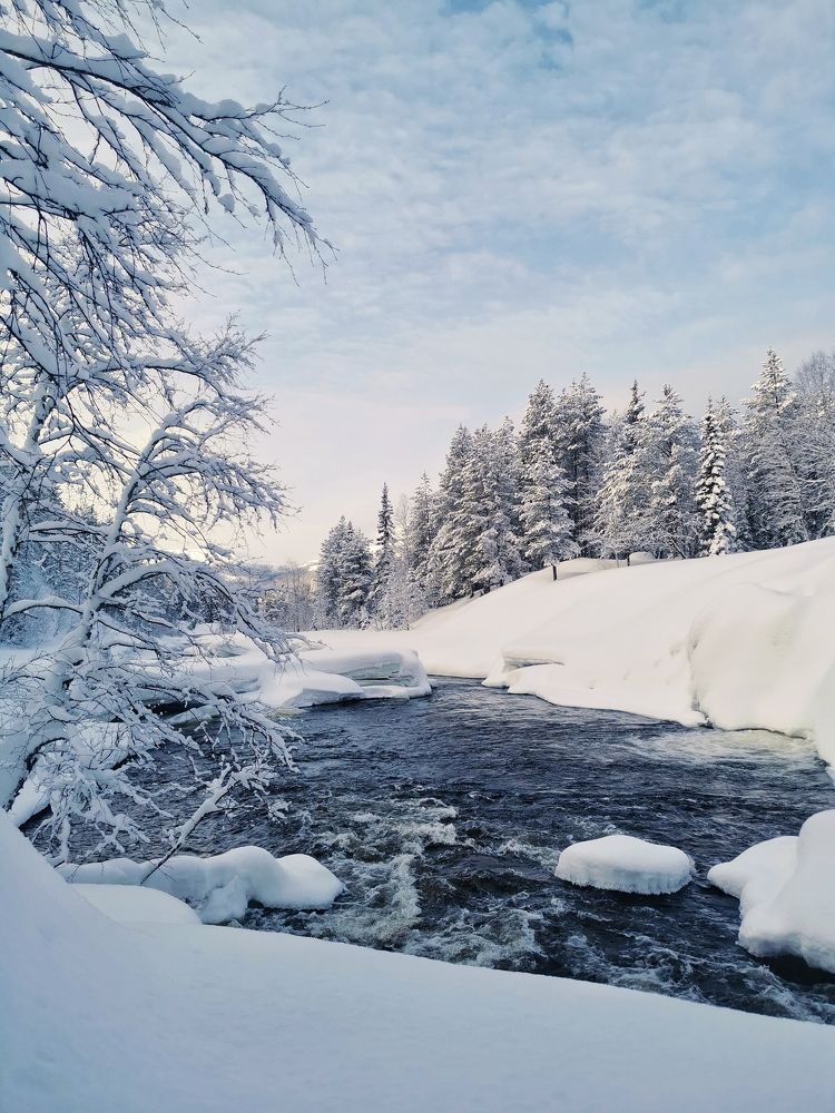 Beautiful winter day