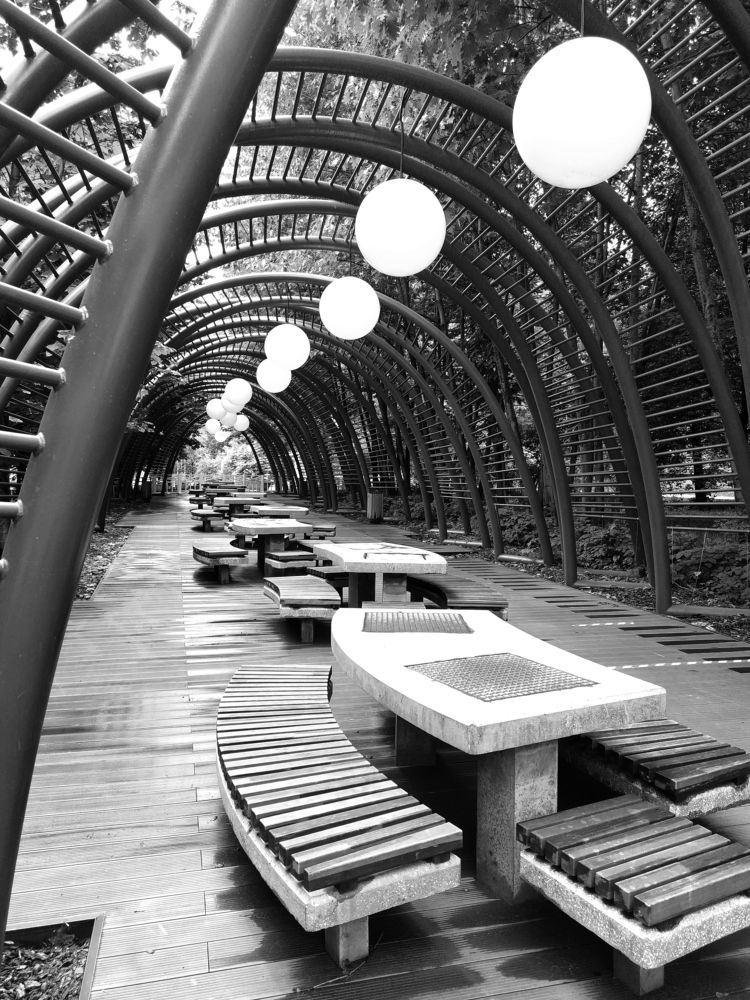 После дождичка.