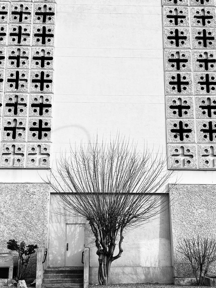 Photograph by Анастасия