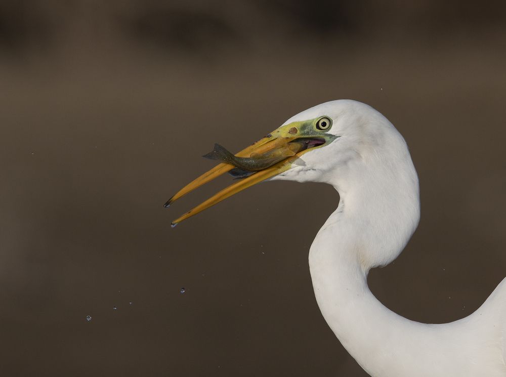 Photograph by Vasos Vasiliou