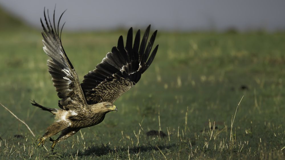 Photograph by Vignesh Ramachandran