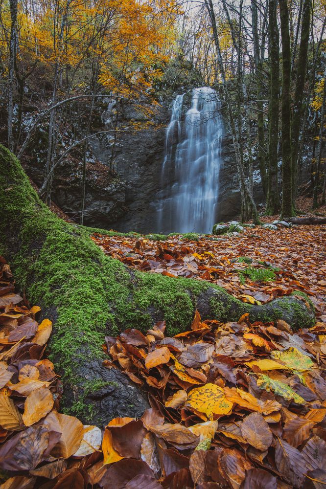 Photograph by Nereo Crnić