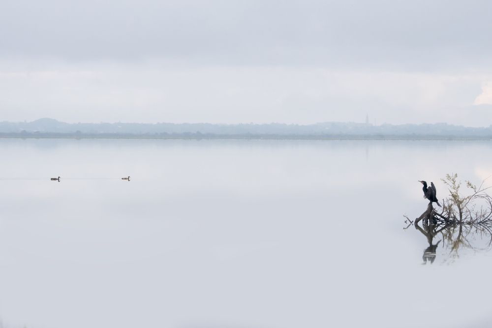 Photograph by Moisés Pindi