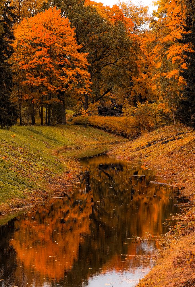 Photograph by Александр Державин