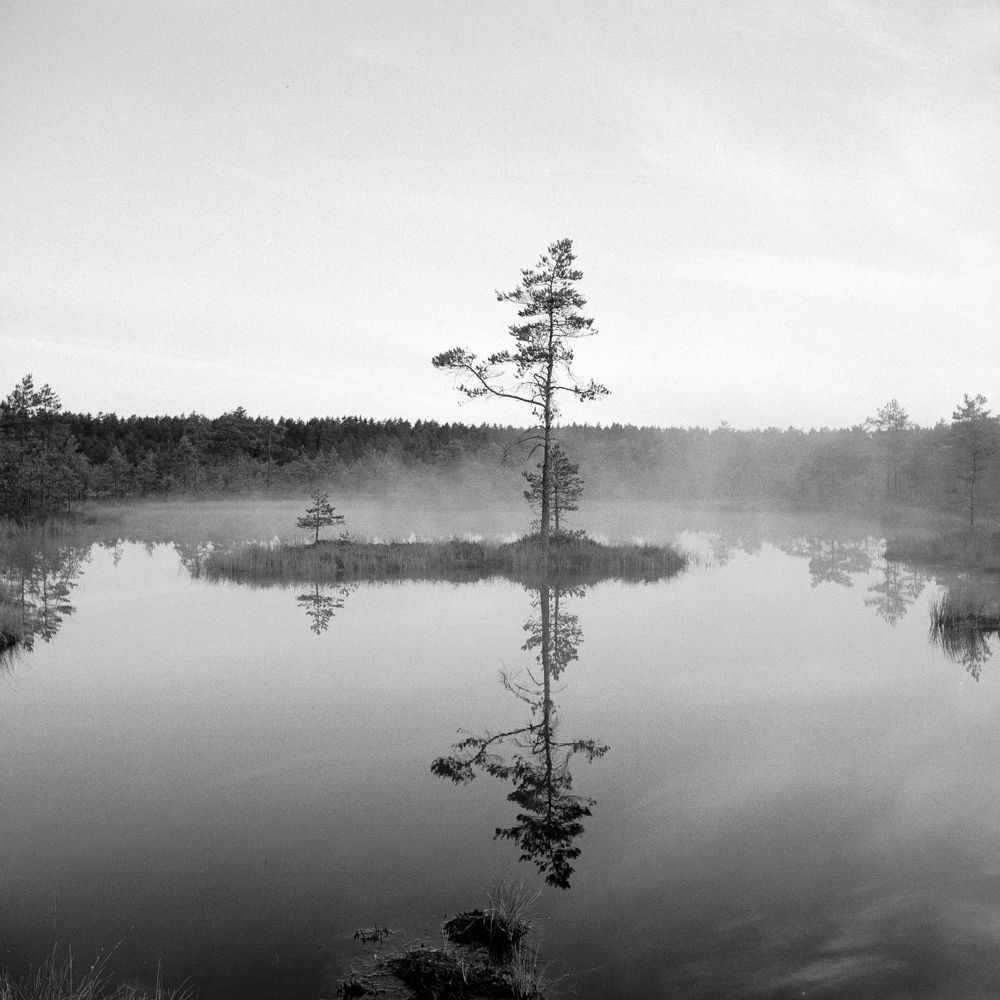 Photograph by Andres Papp