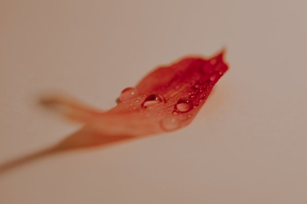 Photograph by Александра