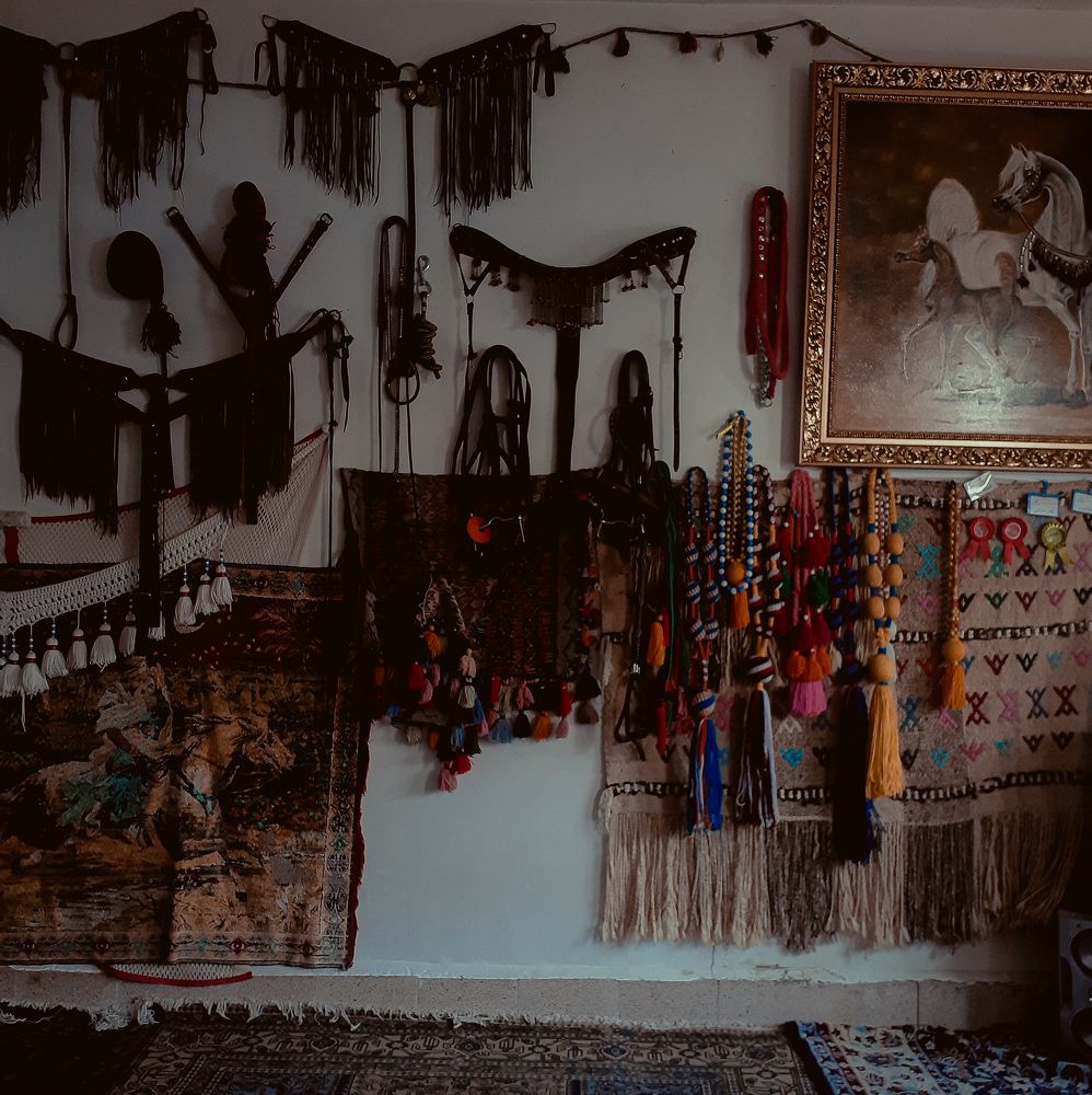 Photograph by Amirreza Talebi