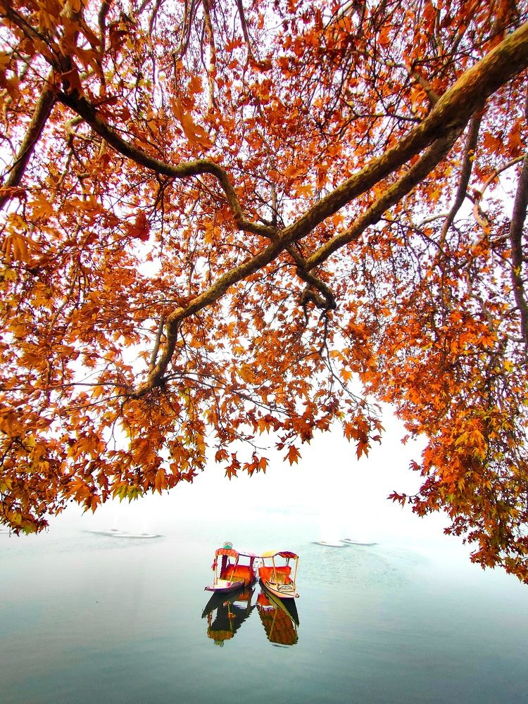 Autumn in Kashmir