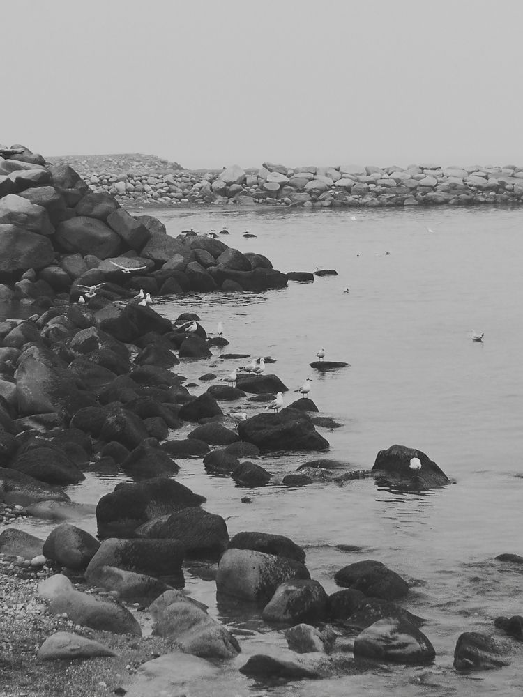 Photo #7333005